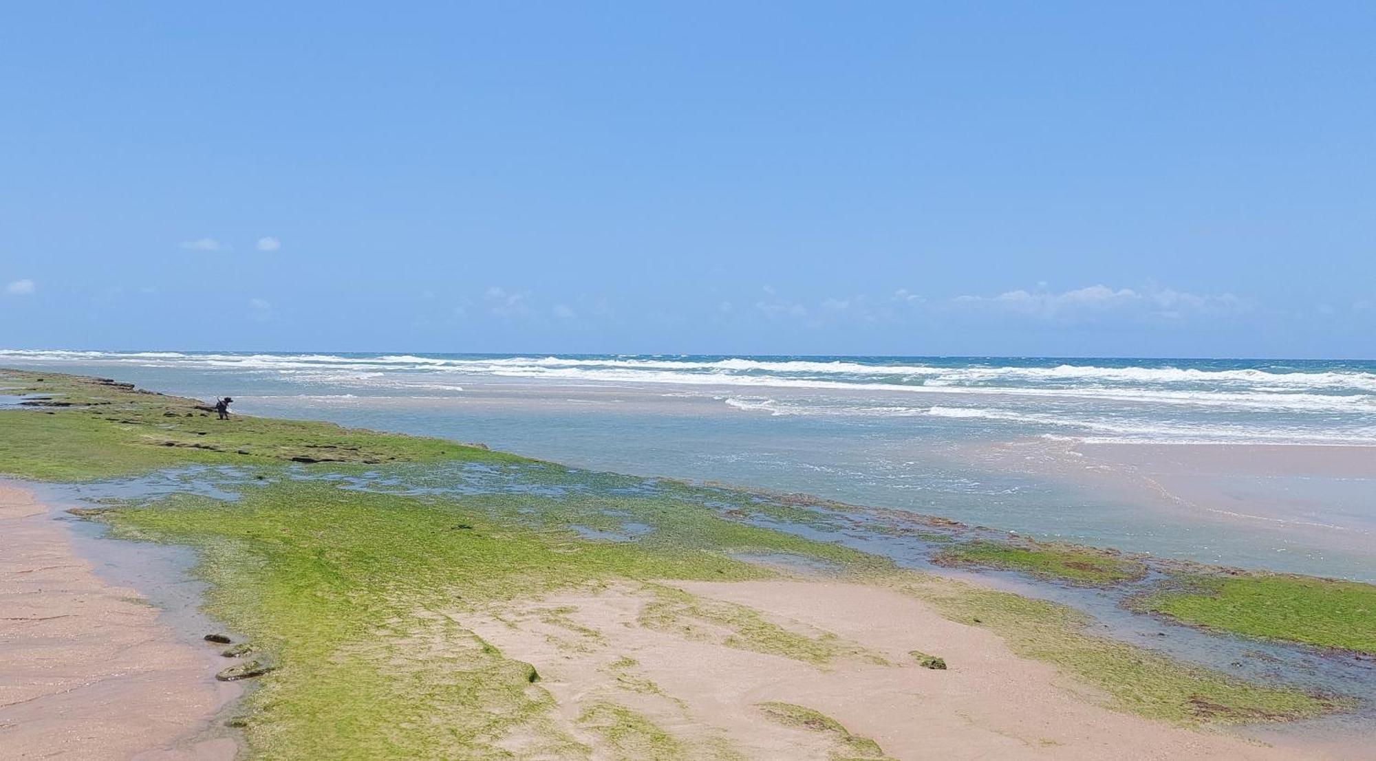 Portal Vida Chale Na Praia Da Taiba Sao Goncalo do Amarante (Ceara) Exterior foto